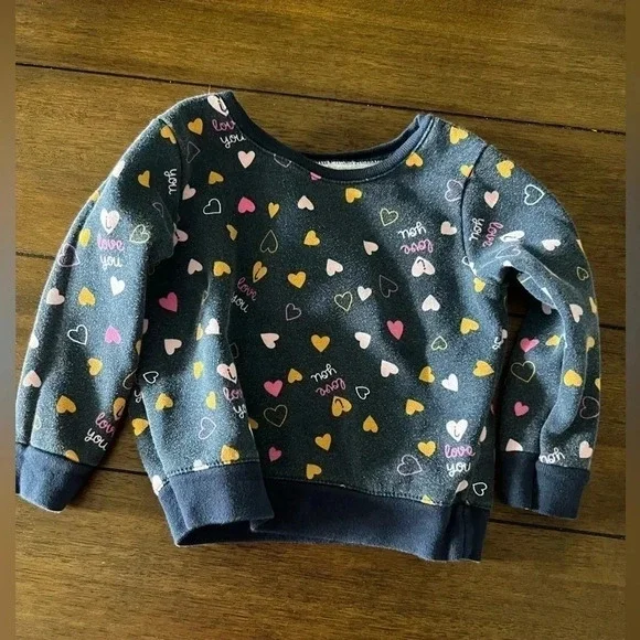 TODDLER SWEATER BUNDLE : bundle of 3 toddler girl sweaters - Picture 5 of 8